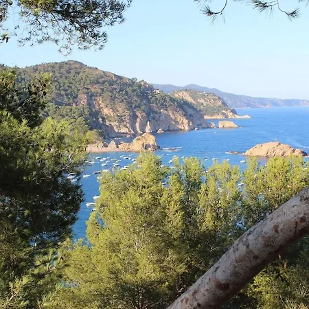 Villa Villa 10 People, 150 M From The Sea, Pool And Garden Platja d'Aro